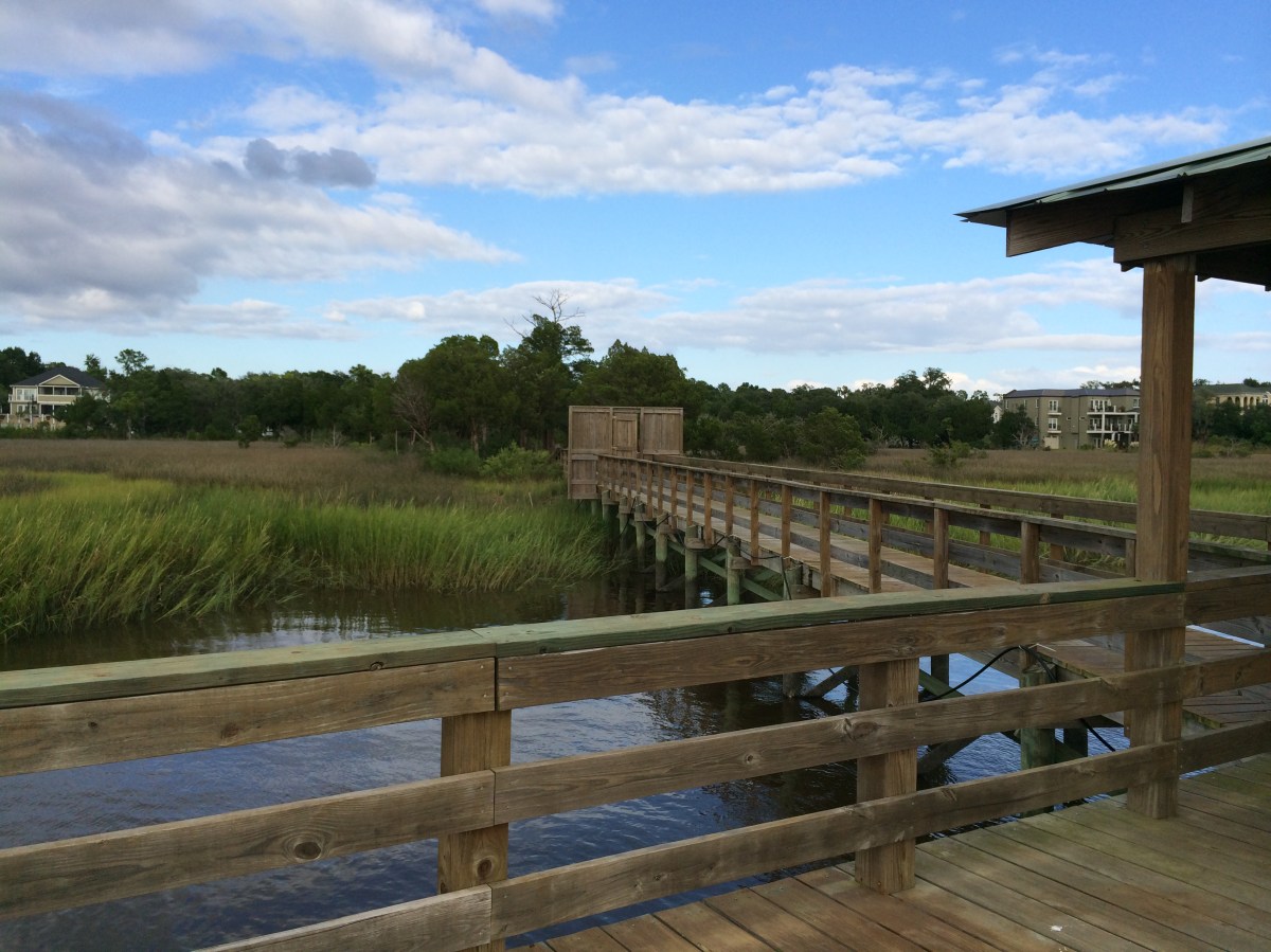 Country Living – Part&nbsp;1